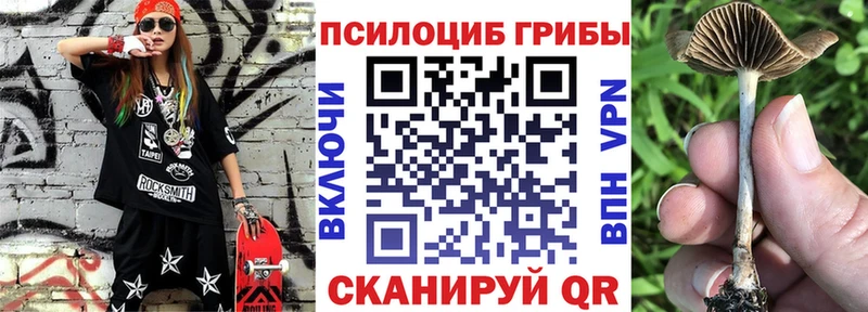 Псилоцибиновые грибы мухоморы  Яблоновский 